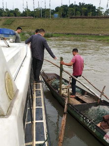 南溪區開展國慶節前漁船安全生產專項檢查，確保畜牧漁業飼料銷售與漁業生產安全
